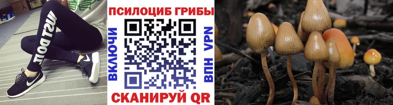 Псилоцибиновые грибы Magic Shrooms  Купить  Шахты 